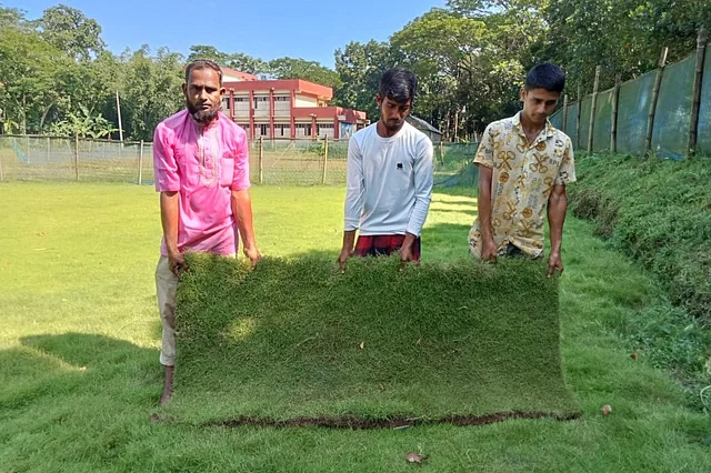 ‘লন কার্পেট’ ঘাস চাষে লাভবান